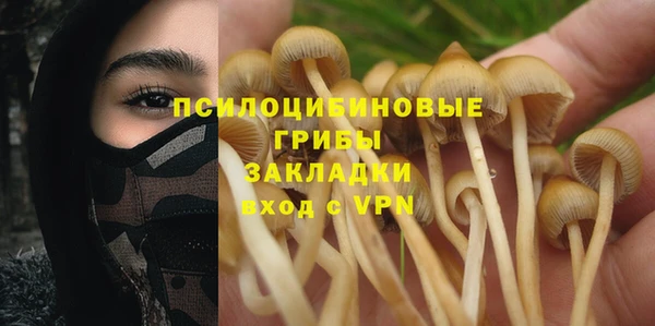 бошки Абинск