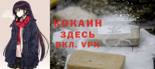 соль ск Алзамай