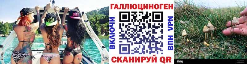 Галлюциногенные грибы GOLDEN TEACHER купить наркотик Шимановск